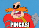 PINGAS